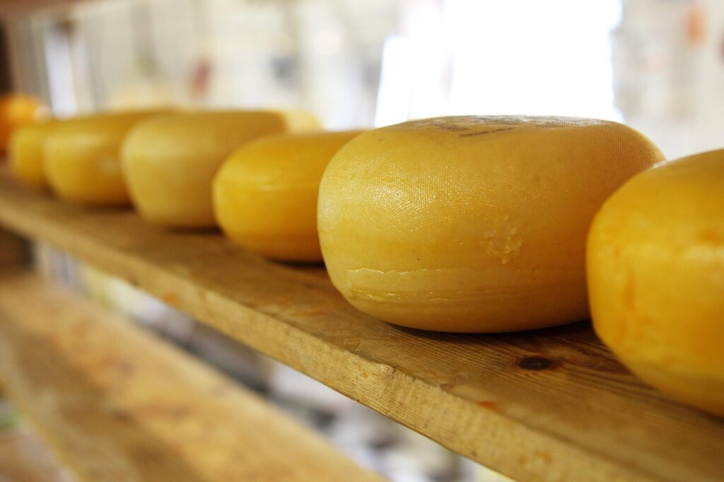 Bambino in coma per formaggio contaminato: 1 milione di euro alla famiglia