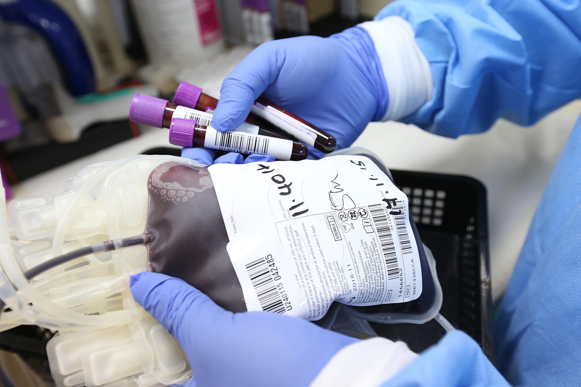 Sangue infetto, il Ministero della Salute condannato dopo 48 anni: quasi 1,5 milioni di euro di risarcimento